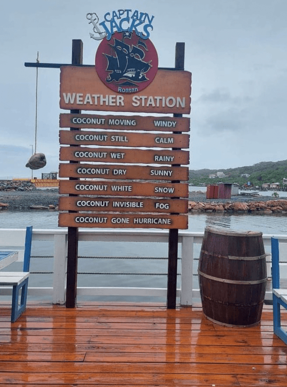 The famous coconut weather station